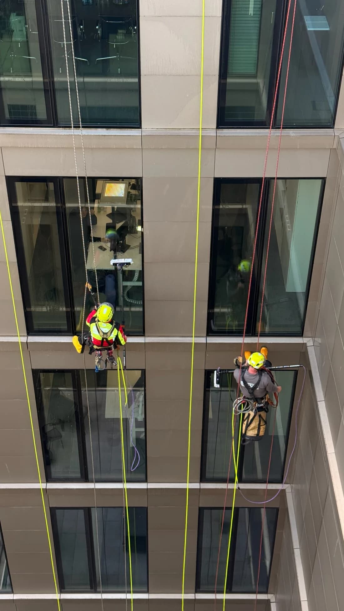 Zwei seilgesicherte Personen arbeiten an den Fenstern einer mehrgeschossigen Fassade.